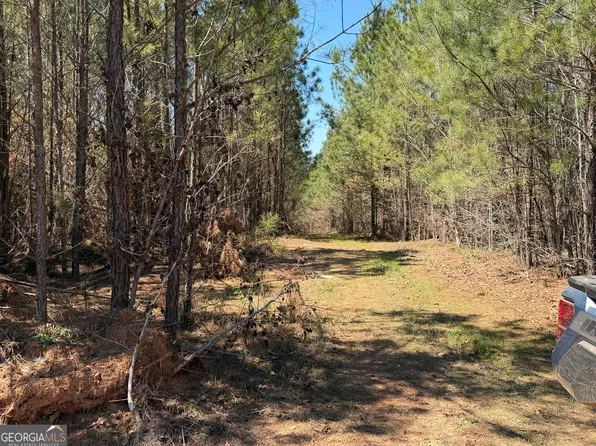 0 County Road 79, Wadley, AL 36276