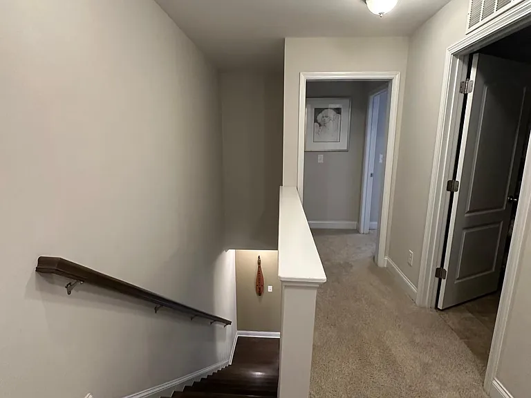 124 Spring Pine Ln — Photo 10