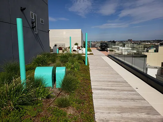 Rented by Lodger Corp | media 50