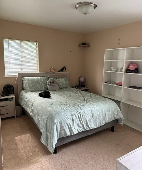 3309 Saratoga Dr — Photo 14
