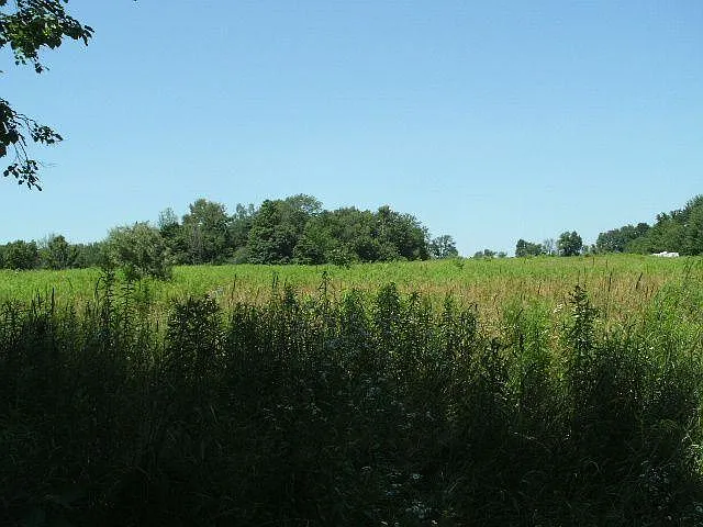 125 South Ave photo 1