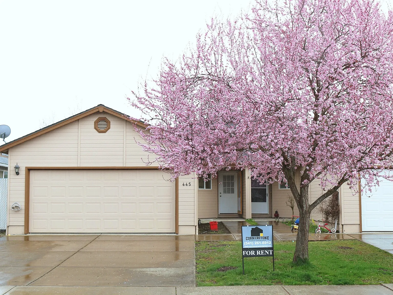 036 ID #, 445 Crystal Drive - 1 — Photo 1