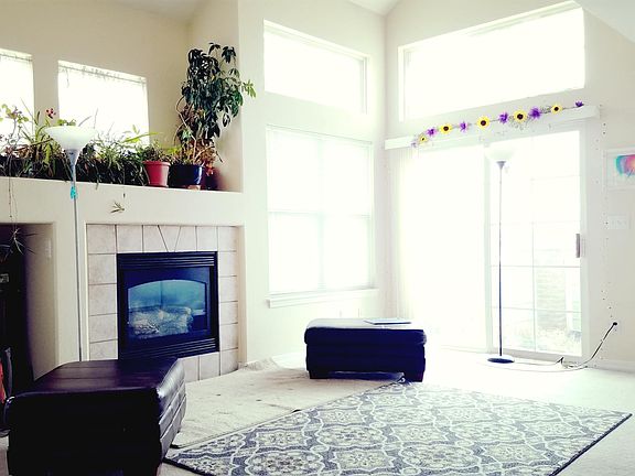 Lots of natural light in the living room
