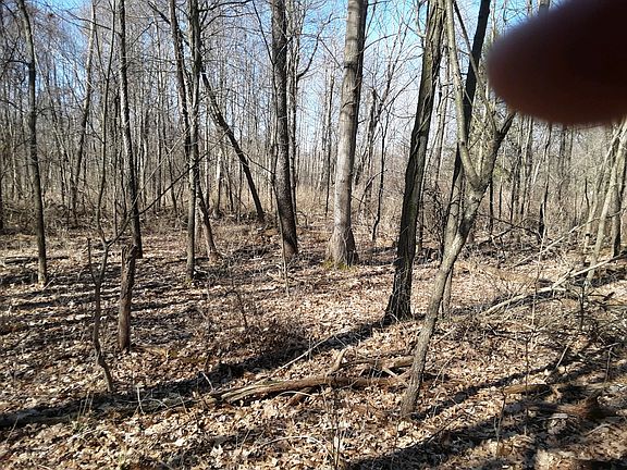 4th image of 7878 Poplar Dr