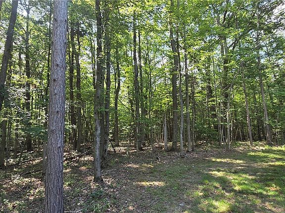 4th image of 613 Randall Rd Lot 15