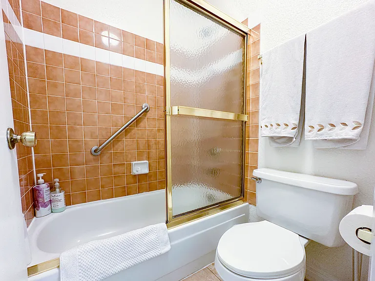 1215 E Lemon St #121 — Photo 6