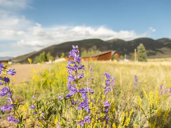 438 W Spruce Drive, Creede, CO 81130
