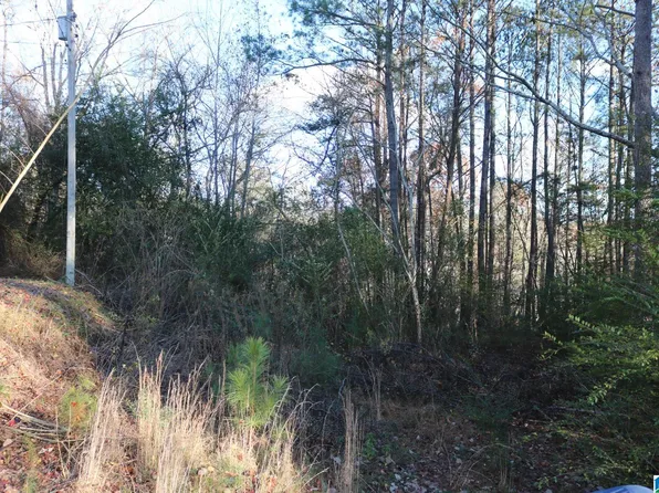 5635 Victory Ln #2, Bessemer, AL 35023