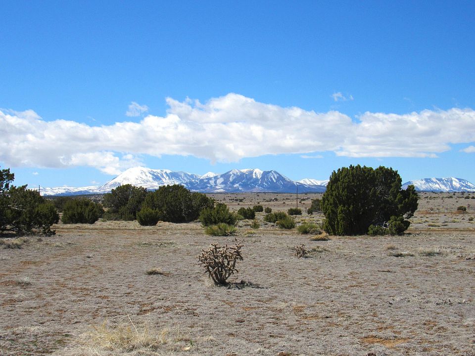 1st image of Greenhorn Vlg Lot 50