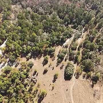 5th image of 537 Horseshoe Bend Rd
