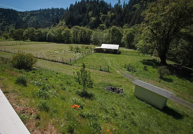 Paradise Creek Rd — Photo 13