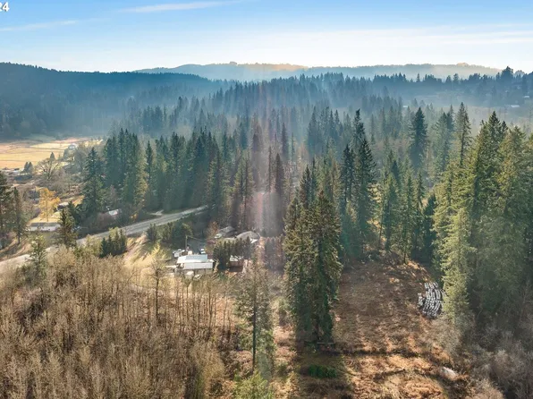 0 NE Lewisville Hwy, Battle Ground, WA 98604