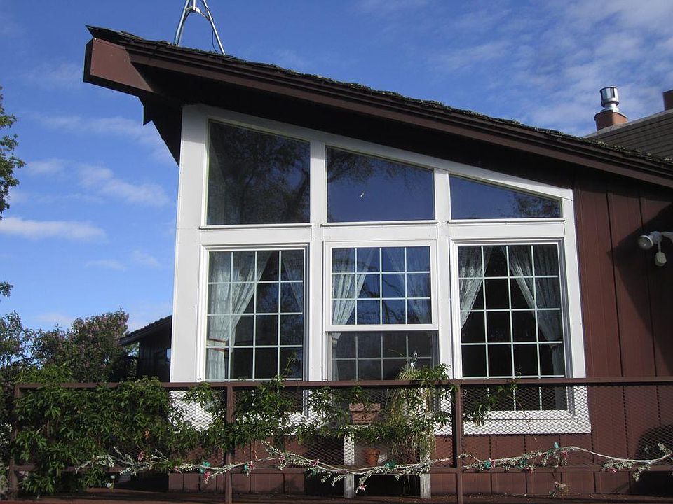 Back View