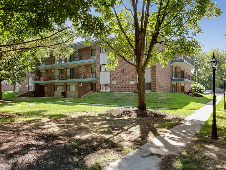 Whitmore Court Apartments — Photo 12