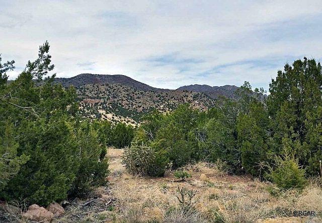 1st image of 101 Eagle Crest Loop
