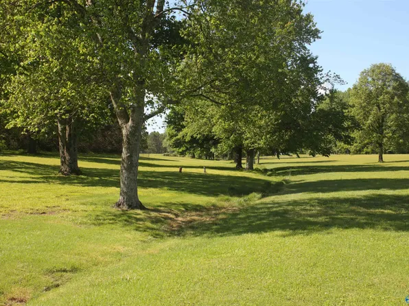 Dekalb Dr, Henagar, AL 35978