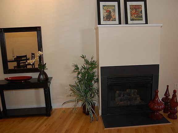 Gas fireplace