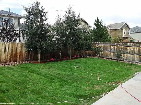 Backyard with Privacy Fence