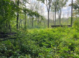 Hunt Rd, Caro, MI 48723