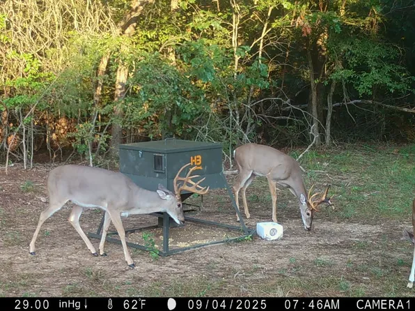 7144 E 141st Rd, Holdenville, OK 74848