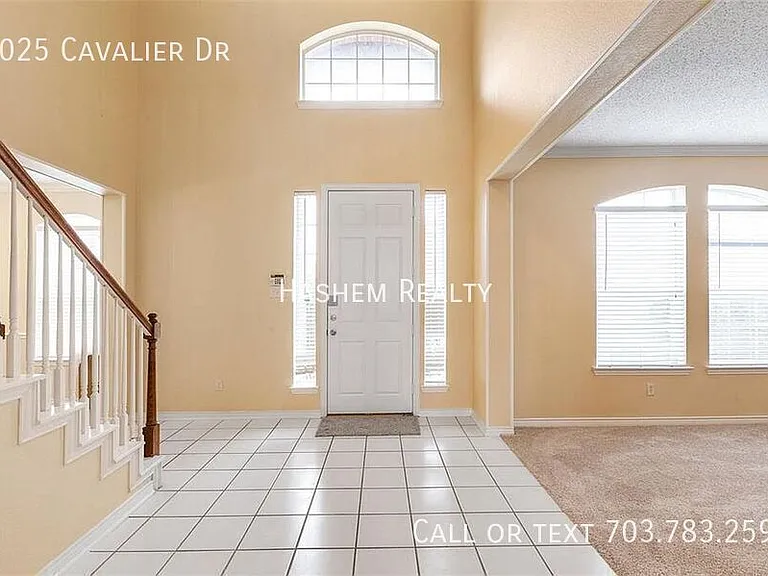 8025 Cavalier Dr — Photo 11