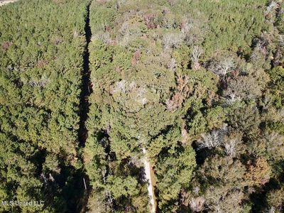 1088 Freeman Rd, Magnolia, MS, 39652