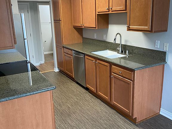 Kitchen Counter, Cabinets and Dishwasher