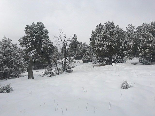 1st image of PARCEL Canyon Dr #C