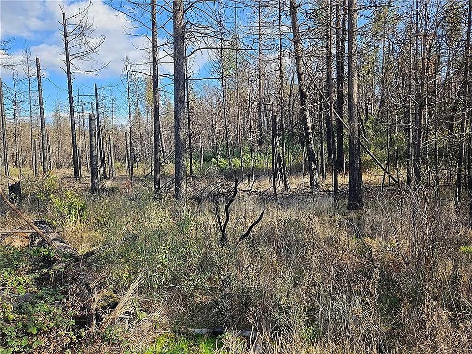 2nd image of Feather Ridge Way