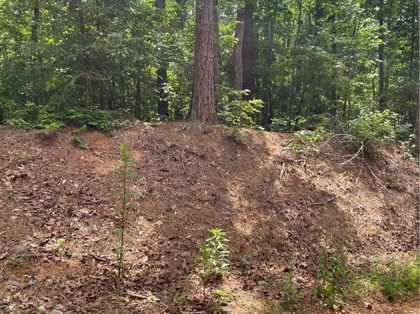 0 Mitchell Dr, Vance, AL 35490