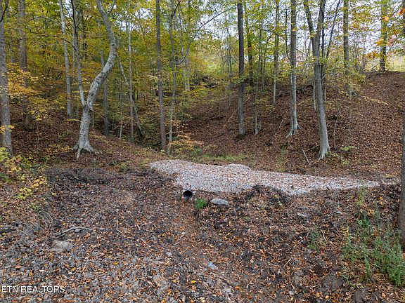 2nd image of 2 W Bullrun Valley Dr Lot 2