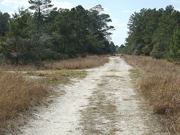 NIGHTINGALE ROAD