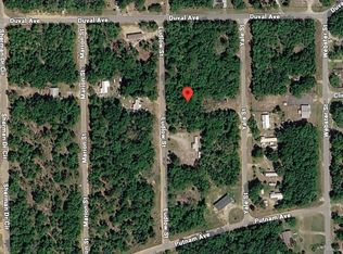 Ludlow St Lot 7, Interlachen, FL 32148