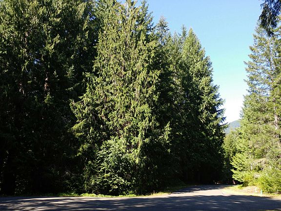 5th image of 200 N Mount Seattle Way