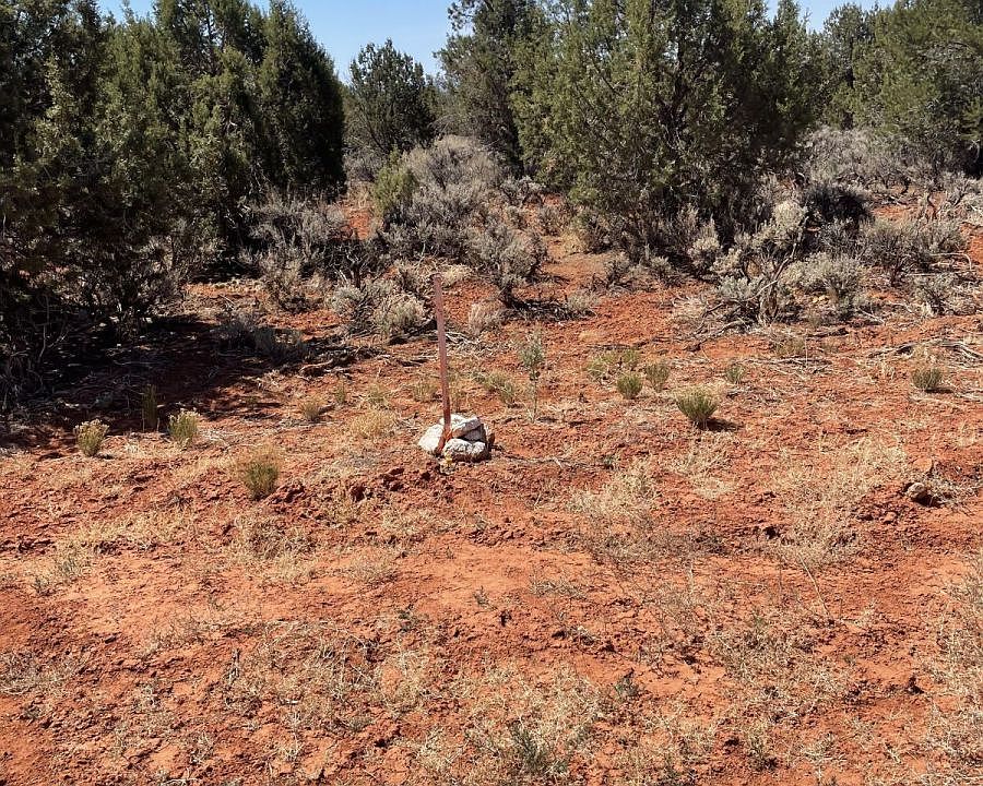 2nd image of LOT 10 Grandpas Rd