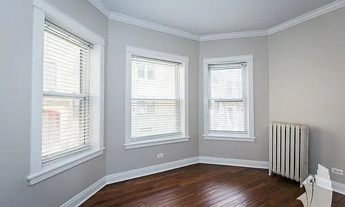 538 W Cornelia Ave #1S — Photo 5