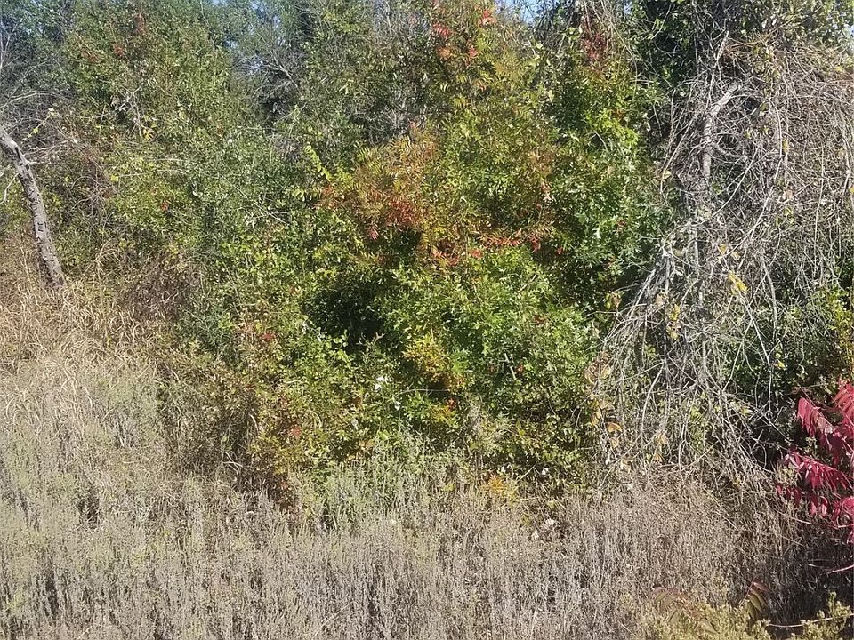2nd image of 260 Scenic Wood Dr