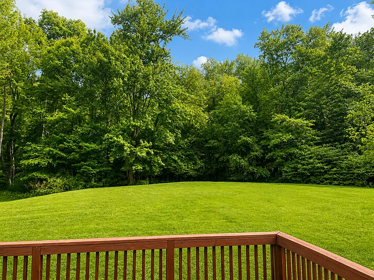 Back Door View