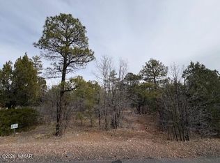 1721 S Knoll Trl, Show Low, AZ 85901