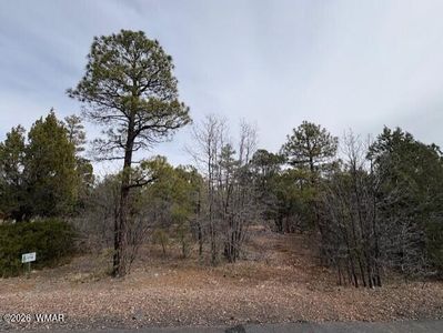 1721 S Knoll Trl, Show Low, AZ, 85901