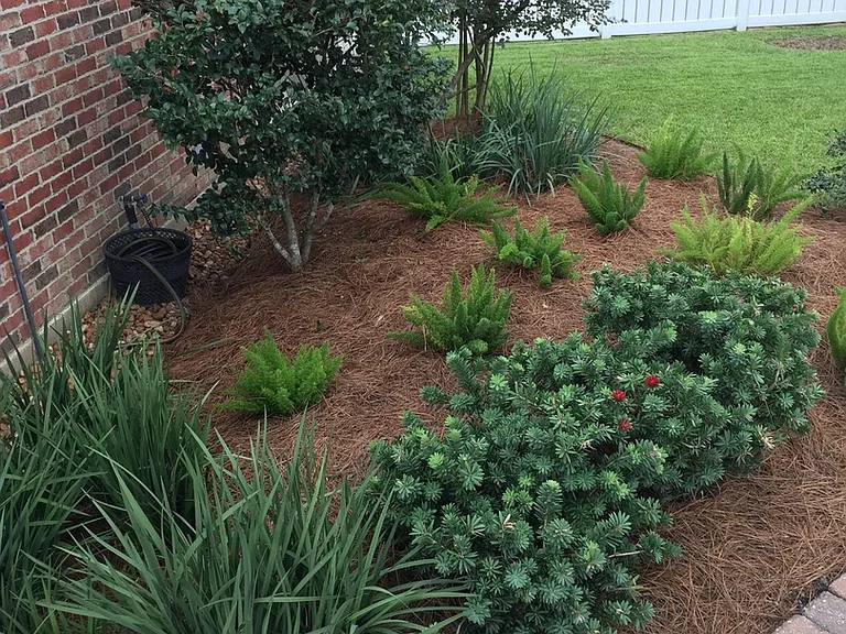 115 Pathway Ln — Photo 13