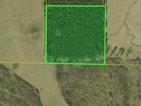 (undisclosed Address), Emmet, AR 71835