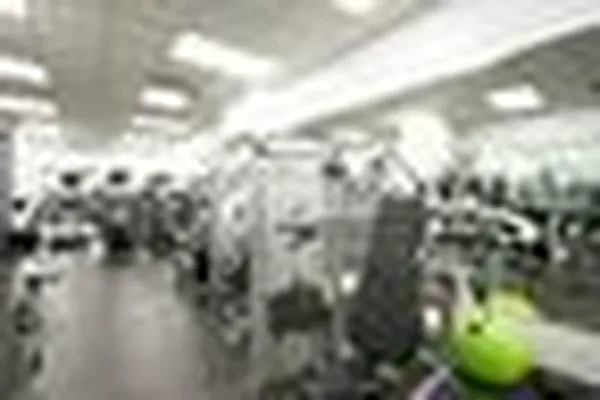 Rented by The Monterey | media 28