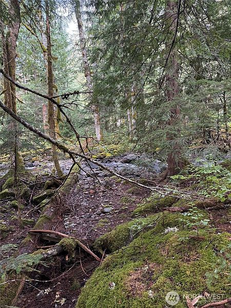 4th image of 0 XX Mountain Loop Highway