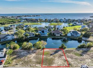 2038 N Pointe Alexis Dr #32, Tarpon Springs, FL 34689