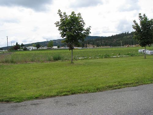 Front yard looking west