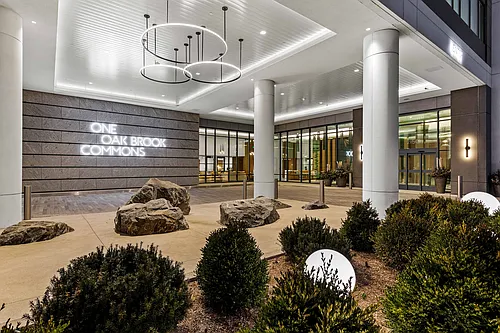 One Oak Brook Commons Photo 1