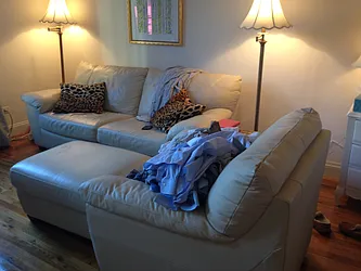 Rented by New York Property Network