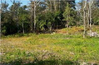 1st image of 106 MYRTLE LOT 1