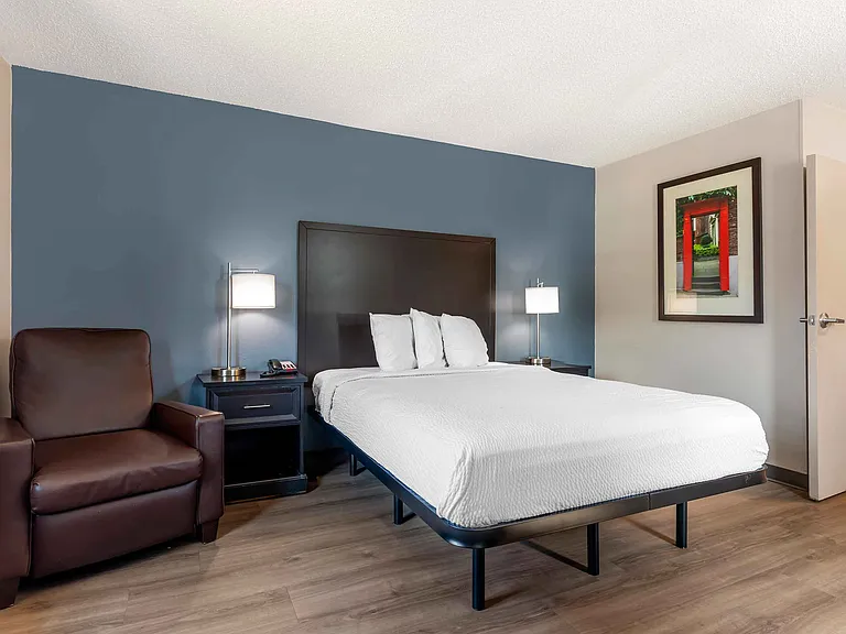 Studio Suite - 1 Queen Bed